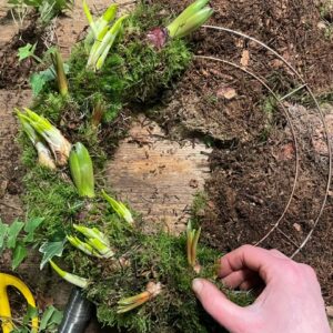 Spring Wreath Kit