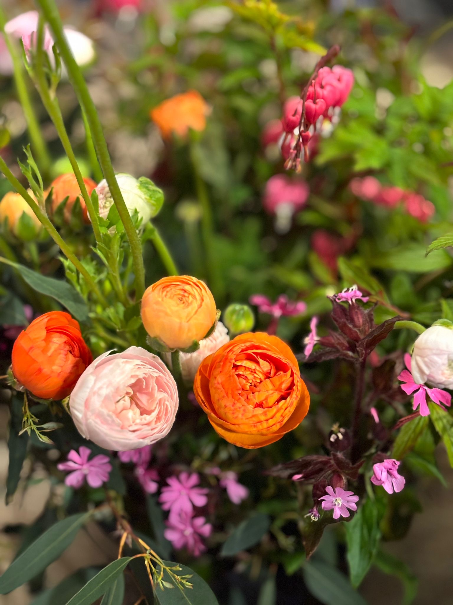 Welcome back British Blooms