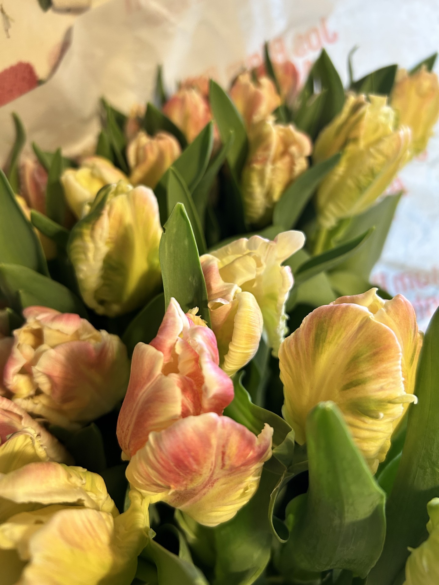 Spring 2026 at Petal & Stalk